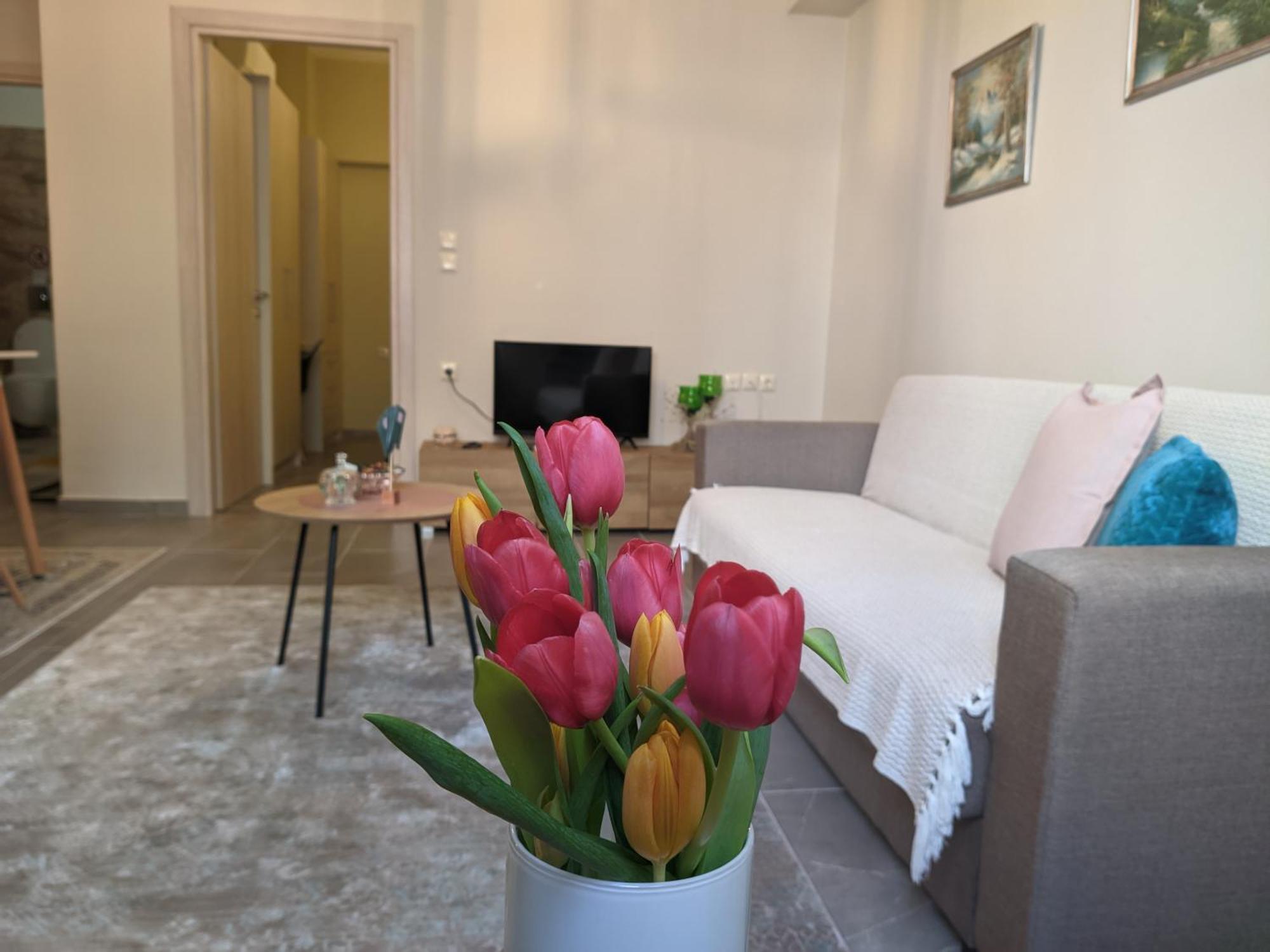 Aristo Central Apartments Янина Экстерьер фото